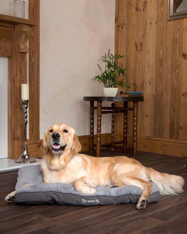 Scruffs Cozy Pillow - Gray