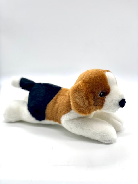 Ben the Beagle