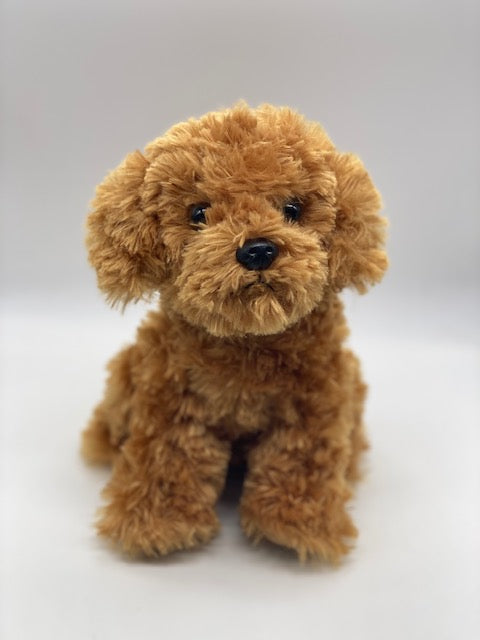 Dash the Dog