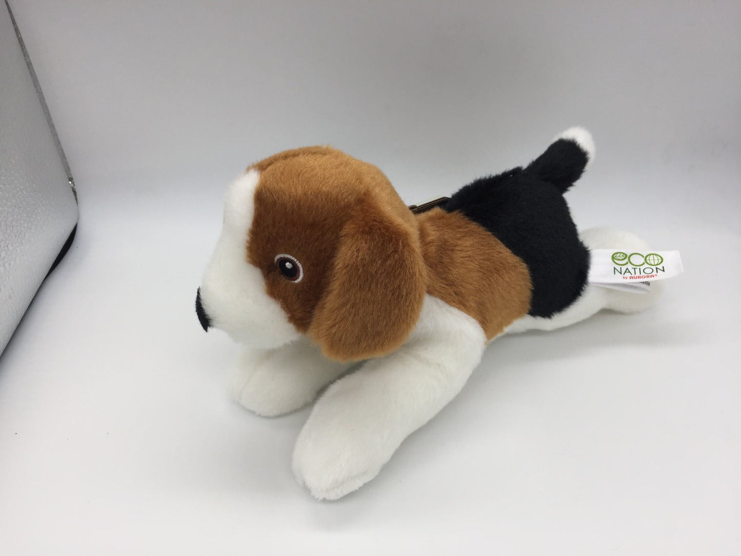 Ben the Beagle