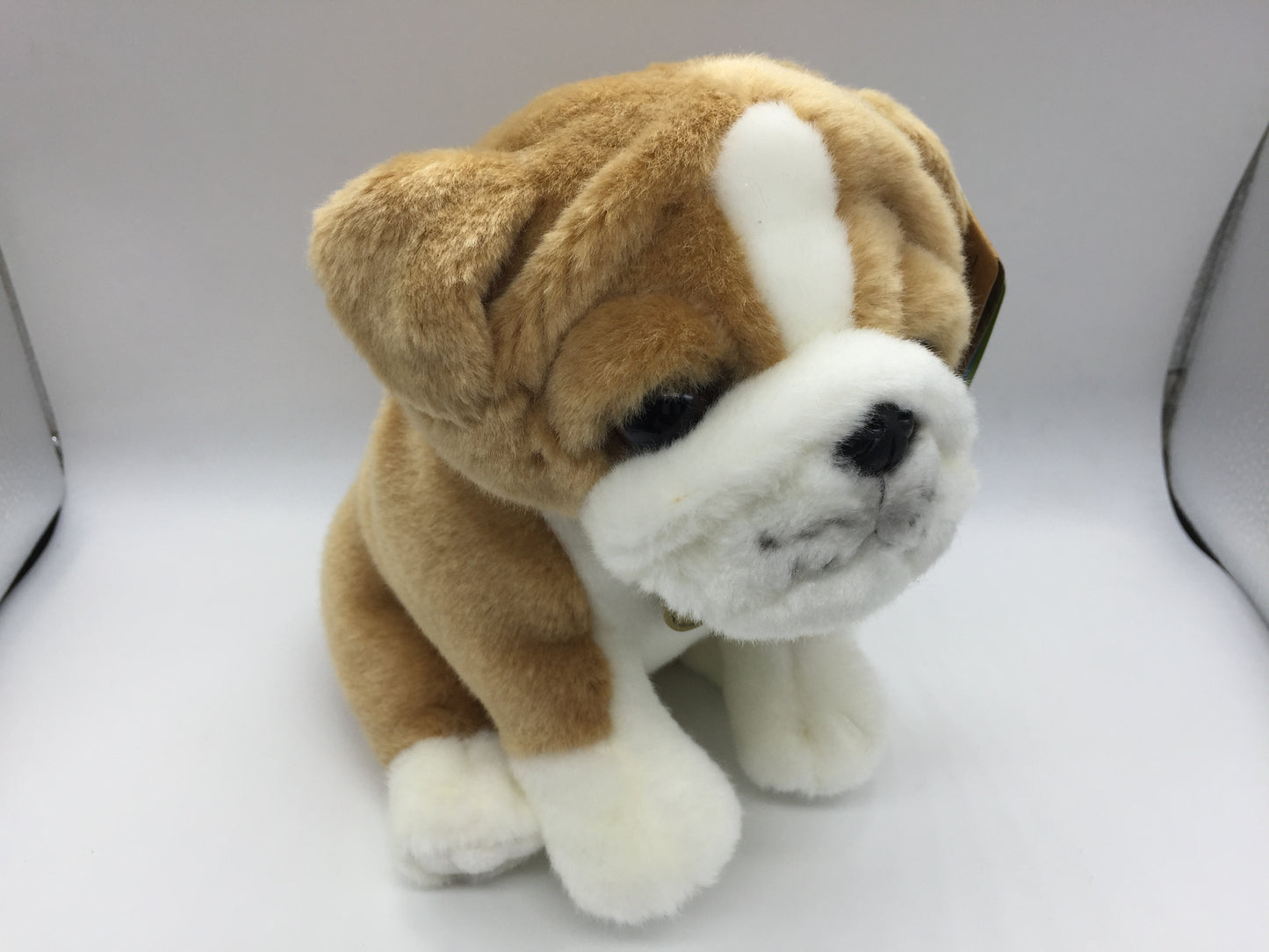 Bud the Bulldog