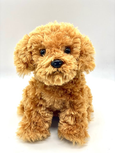 Dash the Dog