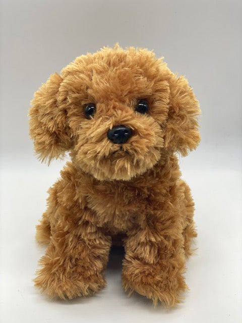 Dash the Dog