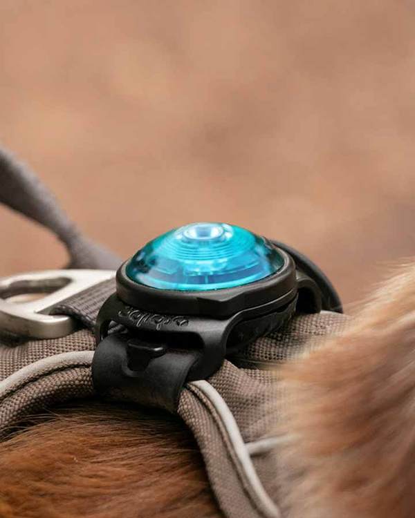 Orbiloc K9 Active TWIN safety light (For dog and owner) - AMBER - Limited Edition