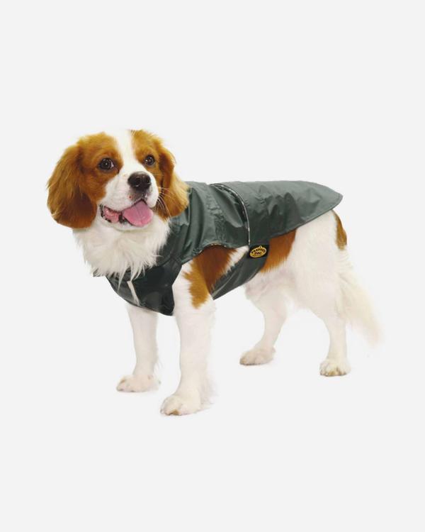 Green water-repellent wax jacket from Fashion Dog