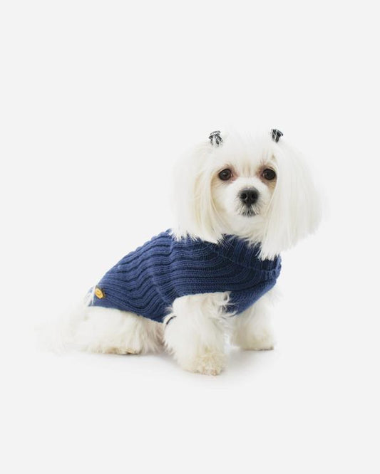 Blue Knitted Sweater from Fashion Dog