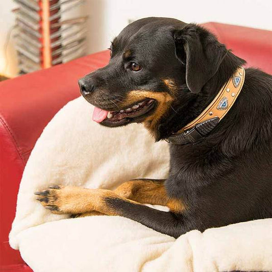Ferplast Relax mattress for Siesta Deluxe dog basket in plastic - 6 sizes