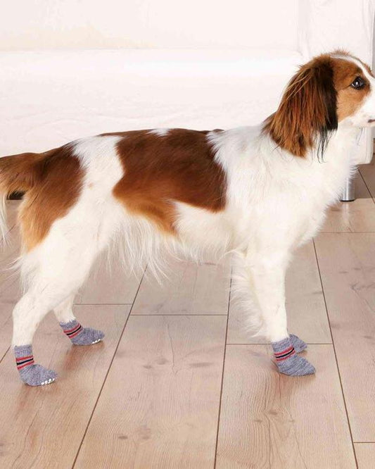 Trixie dog socks - 2-pack